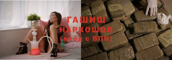 ГАЛЛЮЦИНОГЕННЫЕ ГРИБЫ Гусев