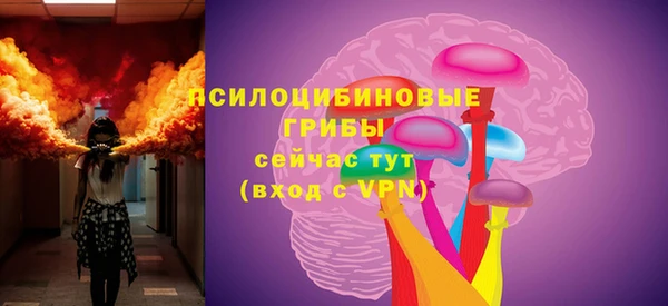 ГАЛЛЮЦИНОГЕННЫЕ ГРИБЫ Гусев