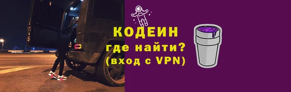 ГАЛЛЮЦИНОГЕННЫЕ ГРИБЫ Гусев
