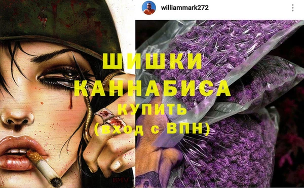 ГАЛЛЮЦИНОГЕННЫЕ ГРИБЫ Гусев