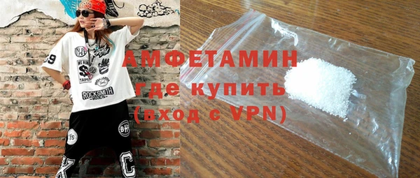индика Дмитриев