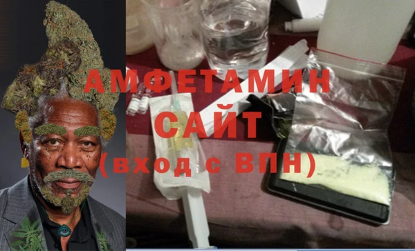 прущие грибы Дмитров