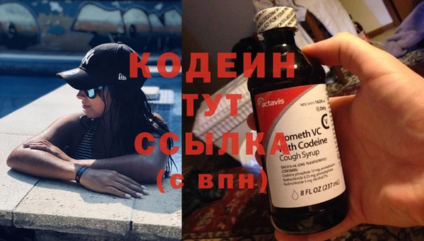 прущие грибы Дмитров