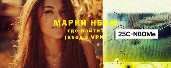 ГАЛЛЮЦИНОГЕННЫЕ ГРИБЫ Гусев