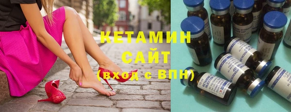 индика Дмитриев