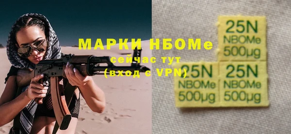 ГАЛЛЮЦИНОГЕННЫЕ ГРИБЫ Гусев