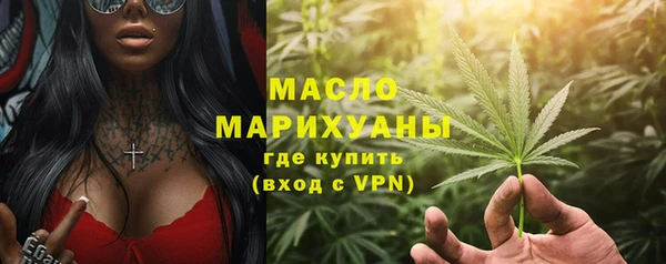 индика Дмитриев